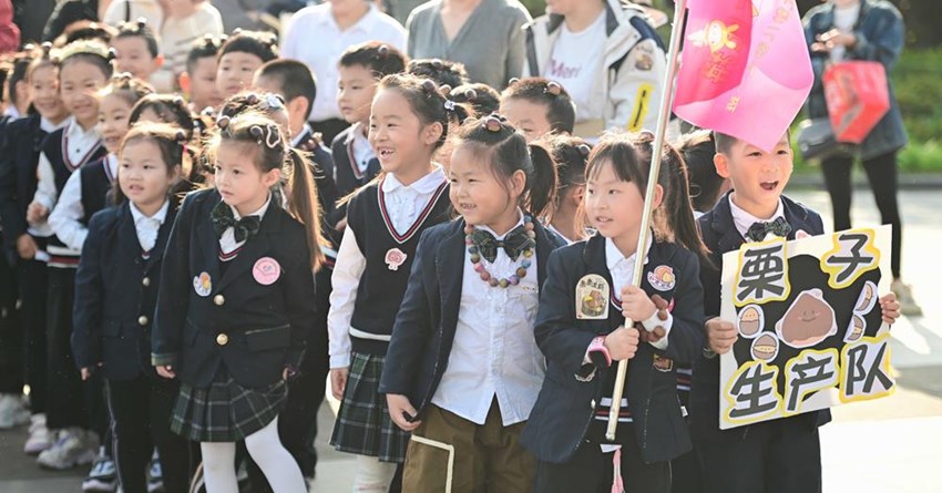 燃动秋日 悦享丰收——城北幼儿园贝贝运动大比拼