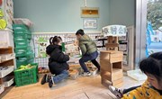 建构：樟树公寓