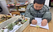 科学区：观察树叶